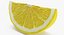 Lemon Slice