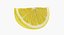 Lemon Slice