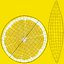 Lemon Slice