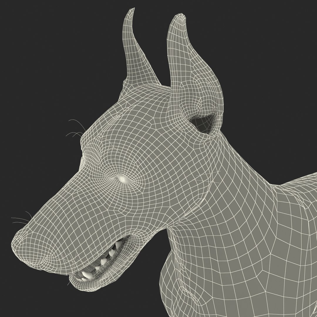 doberman dog 3d 3ds