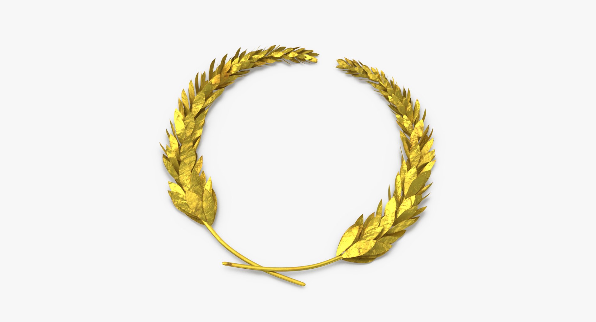 laurel leaves 3D model https://p.turbosquid.com/ts-thumb/46/uArN92/AbjfOUCS/laurel_leaves_thumbnail_0001/jpg/1509961177/1920x1080/fit_q87/6eb7486ede37dc6dc9e83258671044580cf329e3/laurel_leaves_thumbnail_0001.jpg