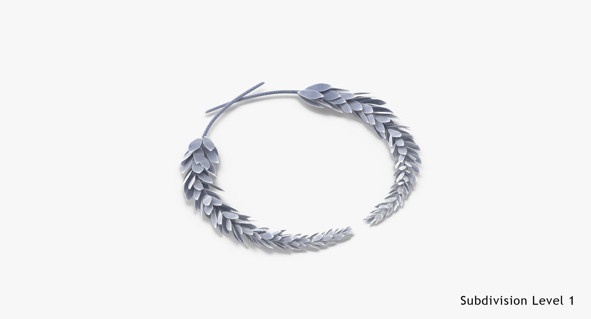 laurel leaves 3D model https://p.turbosquid.com/ts-thumb/46/uArN92/Ekf3U51N/laurel_leaves_wireframe_subdiv1/jpg/1509961177/1920x1080/fit_q87/793f2c1fa98f739433a4a27a644b9164f9e9a529/laurel_leaves_wireframe_subdiv1.jpg