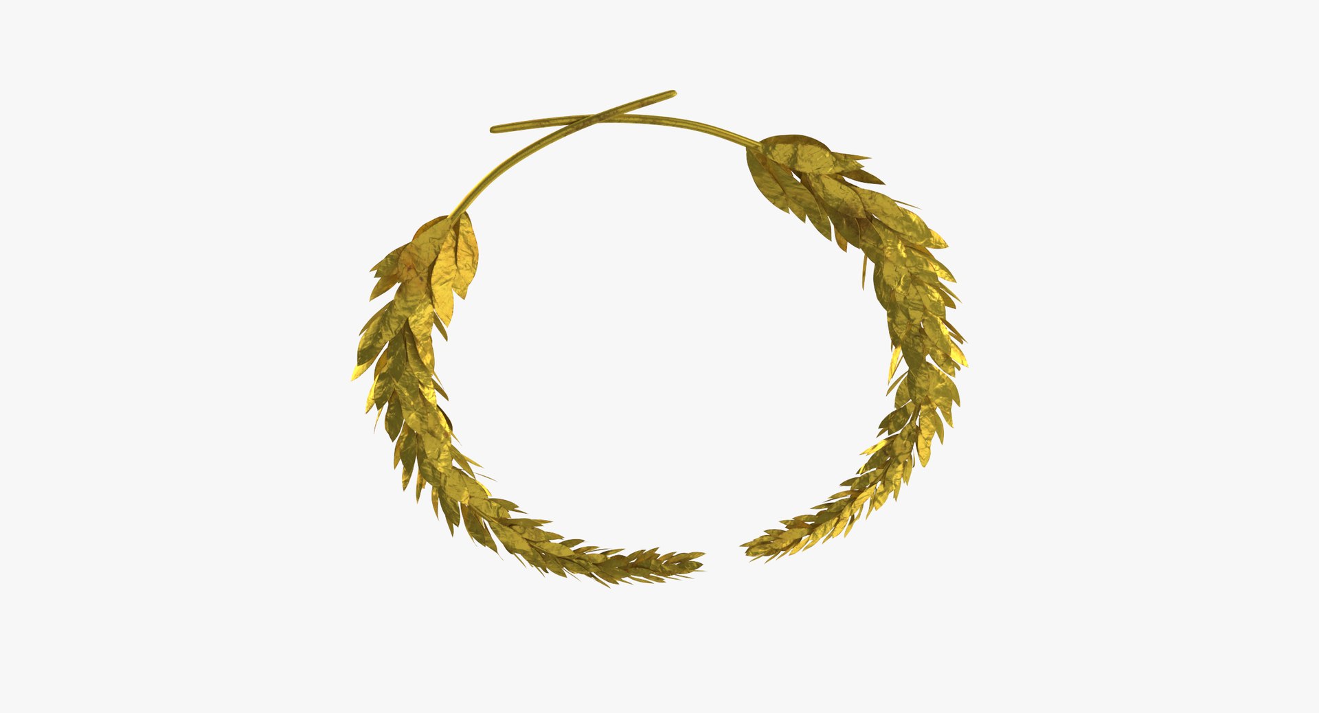 laurel leaves 3D model https://p.turbosquid.com/ts-thumb/46/uArN92/QiOyStO4/laurel_leaves_thumbnail_0004/jpg/1509961177/1920x1080/fit_q87/ee811db4d31bc0d0df76e432a5e614383df3f0fe/laurel_leaves_thumbnail_0004.jpg