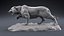 Tiger Model