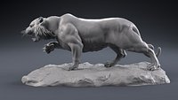 Tiger Model