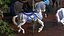 Amusement Park Carousel