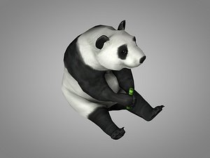 3D panda china bear