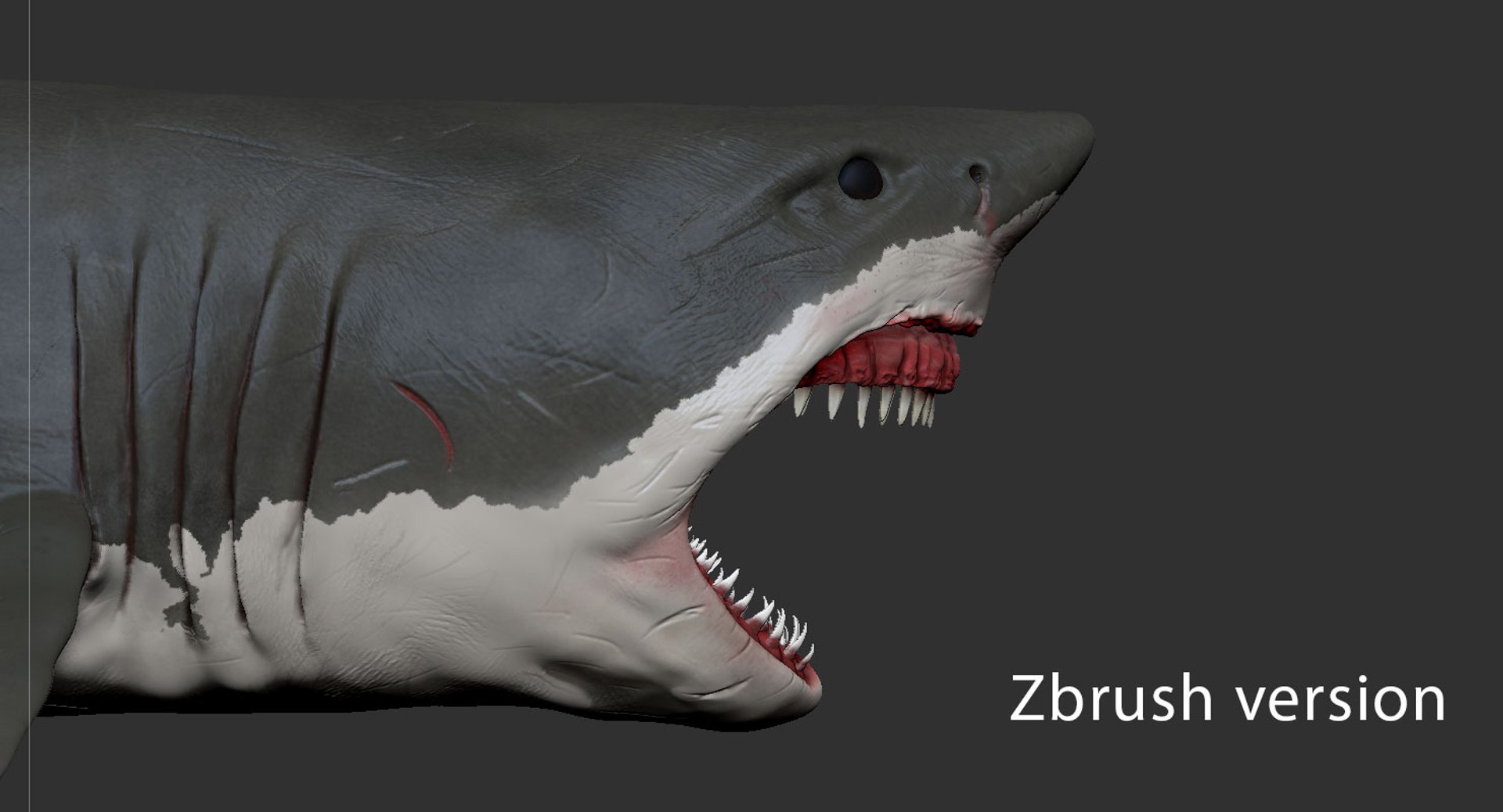 Modeled rigged shark model - TurboSquid 1302224