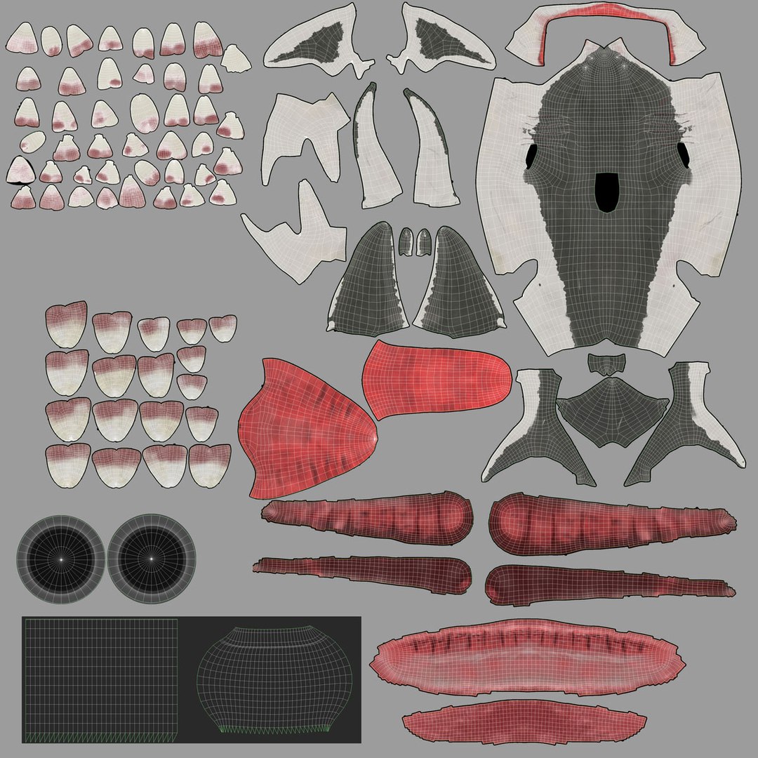 Modeled rigged shark model - TurboSquid 1302224