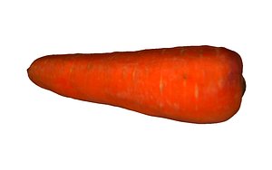 3D carrot scan