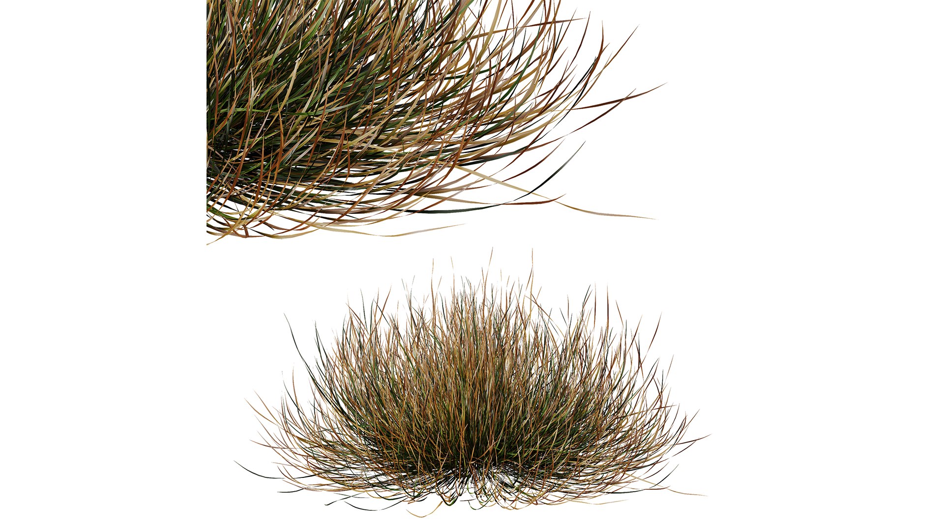 3D Fall Bush-6 Different Bush - TurboSquid 2149991