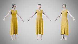 3D Dress 44 Golden Grass
