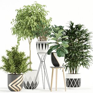 3D plants 112 model