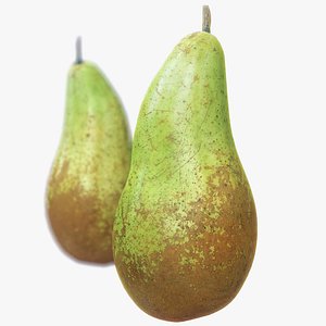 conference pear scanned polys 3d fbx