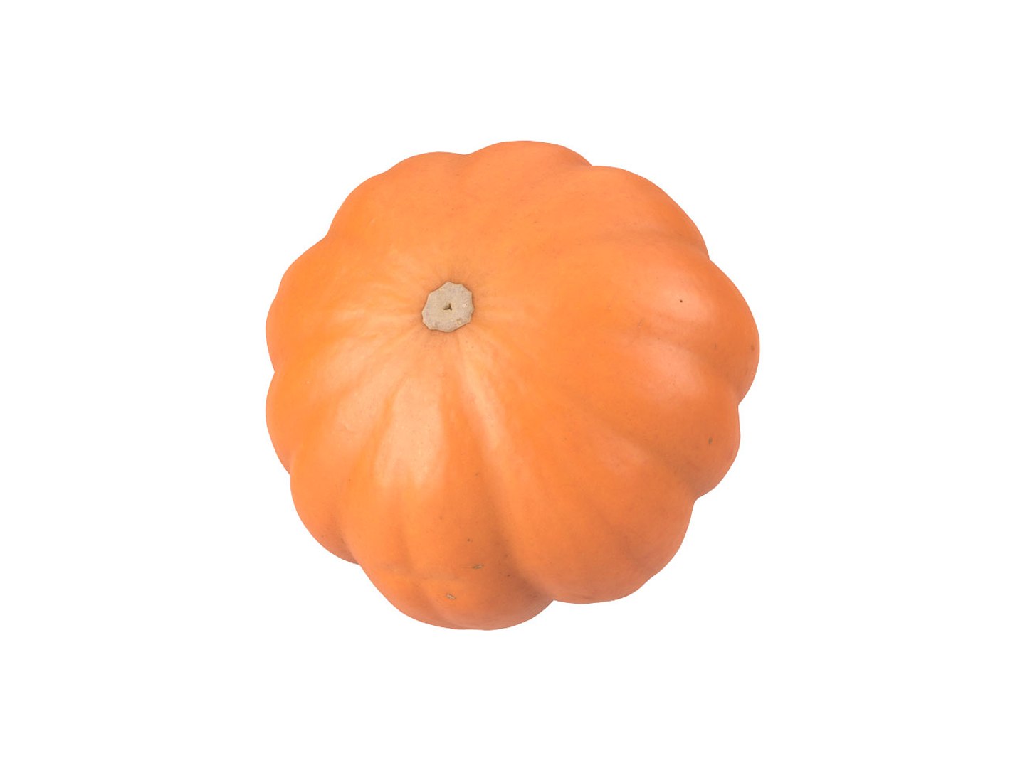 Photorealistic scanned mandarin pumpkin 3D - TurboSquid 1454624