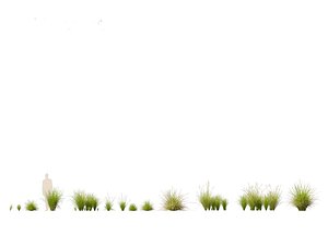 Carex appressa - tall sedge model
