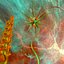 Psychedelic Forms And Materials