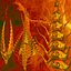 Psychedelic Forms And Materials