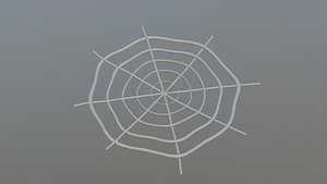 3D Model of a Spiders Web