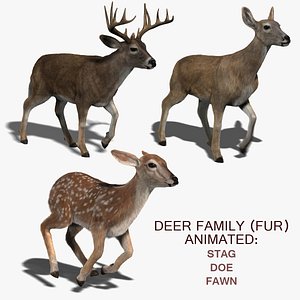 Deer Family (FUR) (ANIMATED)