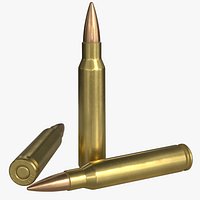 .223 Remington cartridge (5.56x45 mm)
