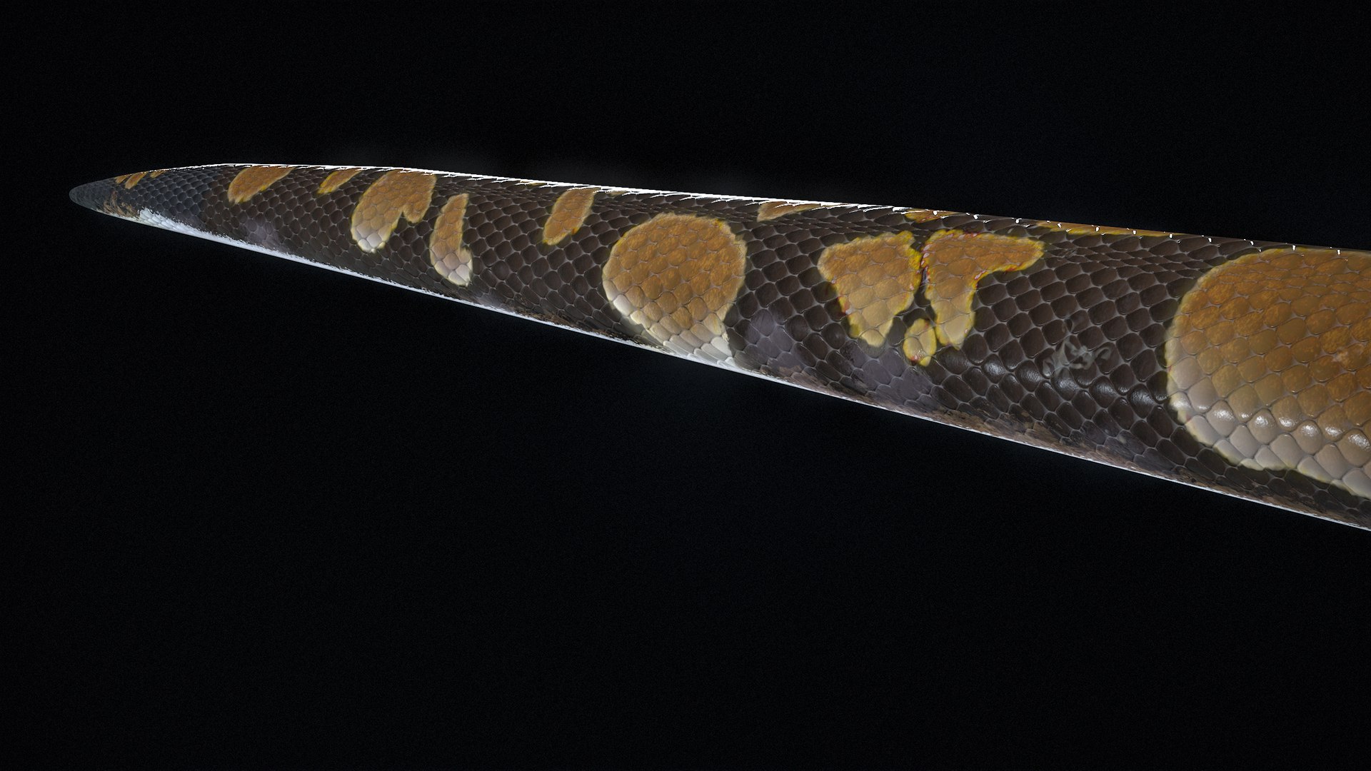 Ball Python Snake PBR 3D Model - TurboSquid 2199503