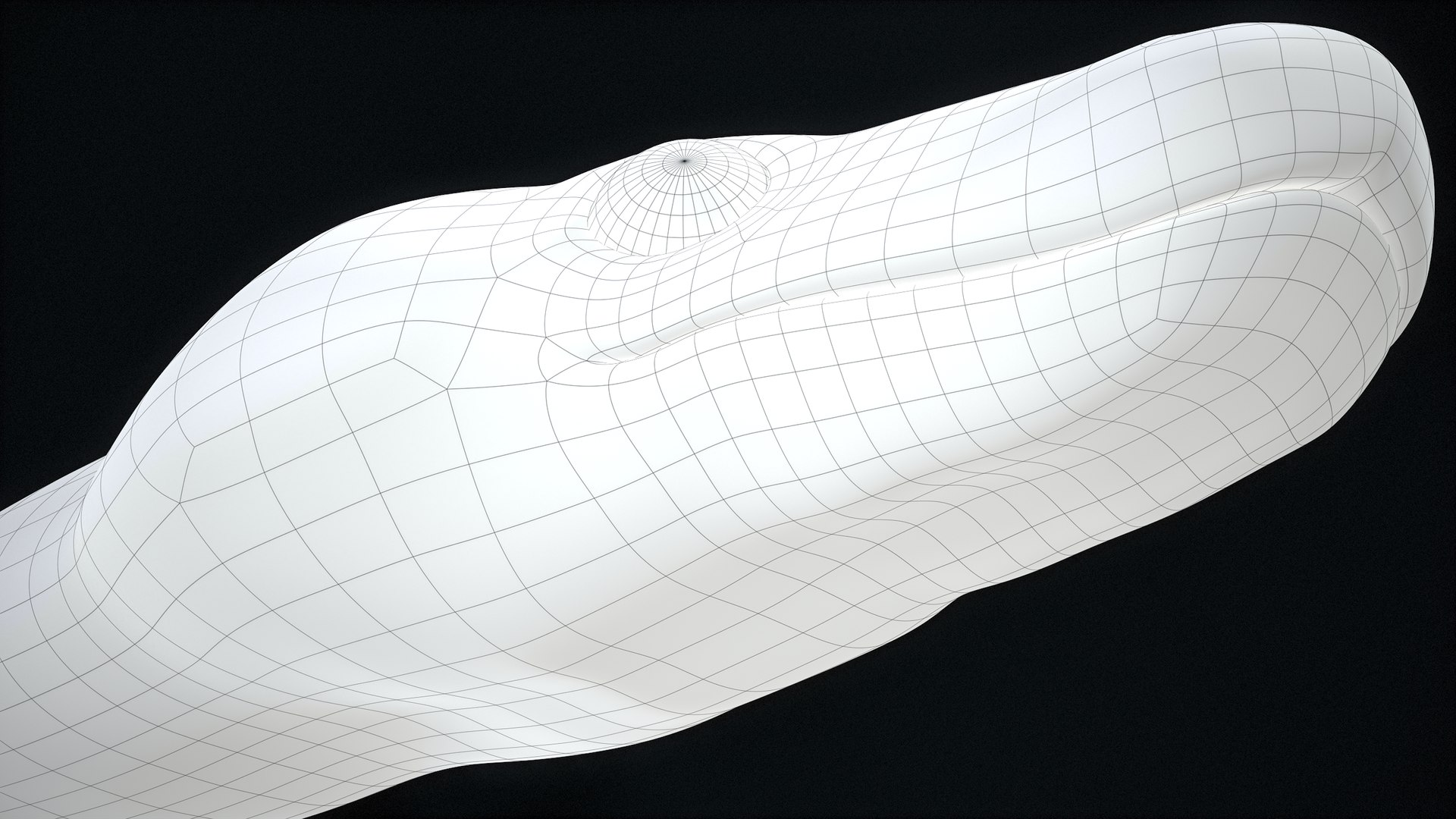 Ball Python Snake PBR 3D Model - TurboSquid 2199503
