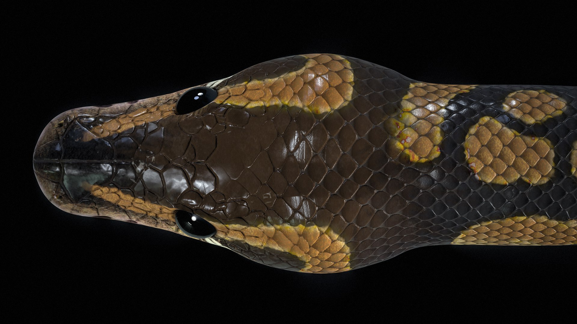 Ball Python Snake PBR 3D Model - TurboSquid 2199503