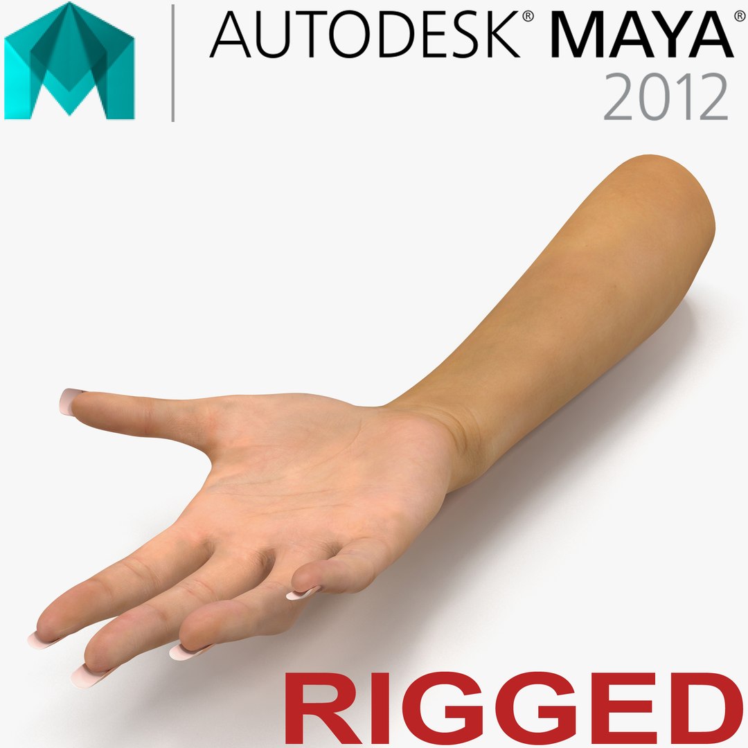 Female Hand Rigged for Maya 3D model preview