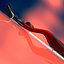 Gillette Champion Mach 3
