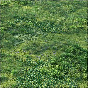 Early spring grass 3D model