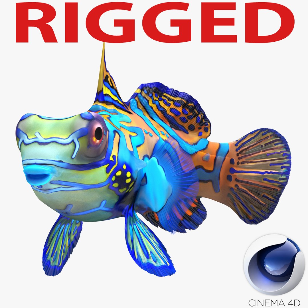Mandarinfish Rigged for Cinema 4D 3D Model 3D model preview