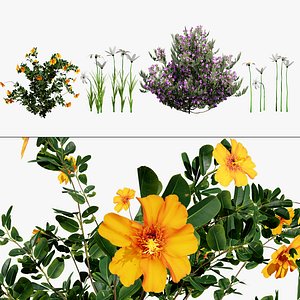 High-Detail Mediterranean Shrub Collection 3D