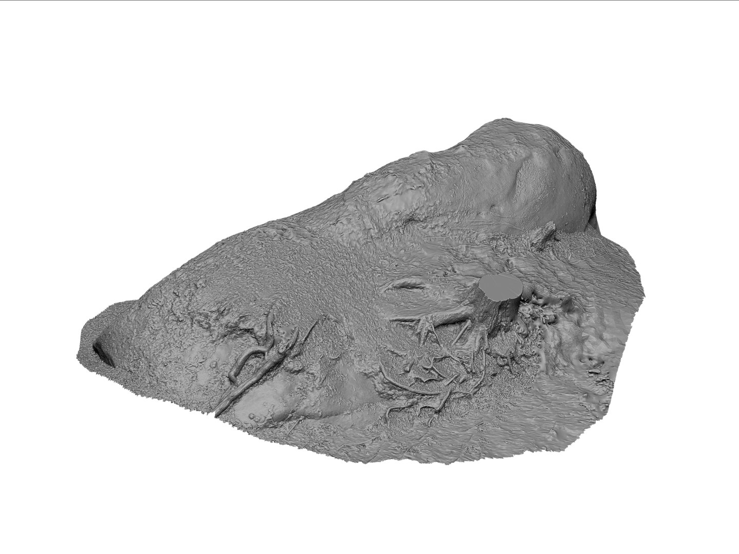 Scanned 16k 3d Model