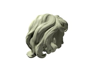 3D curly hairs