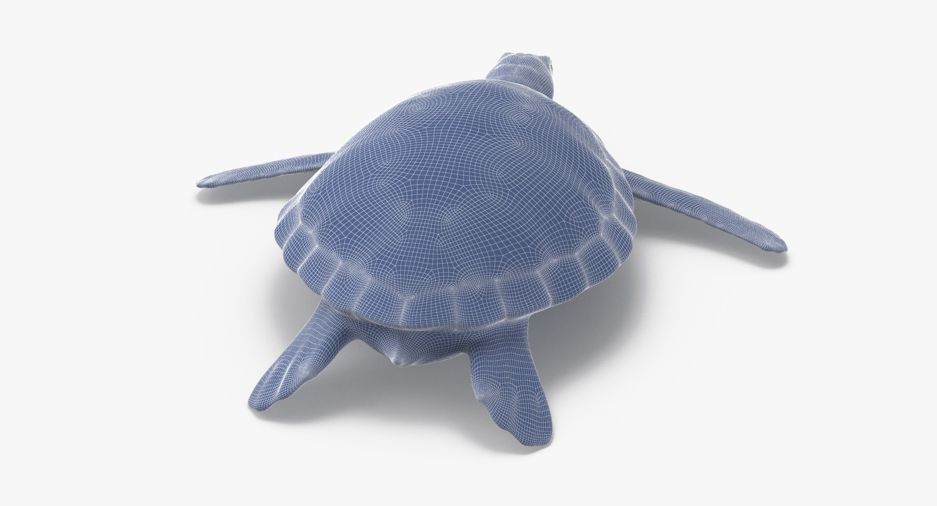 3D Model Sea Turtle Stemcell - TurboSquid 1182566