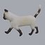 siamese black white cat model