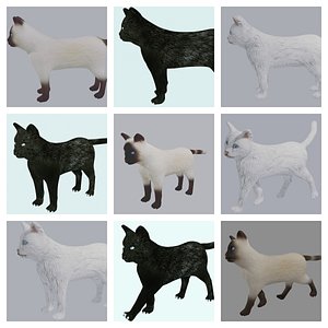 Siamese and Black and White Cat Collection Rigged and Low Poly