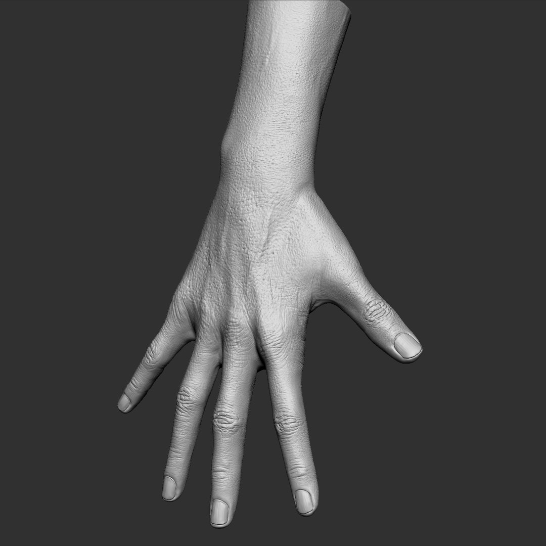 Female Hand Realistic 3D - TurboSquid 1219106