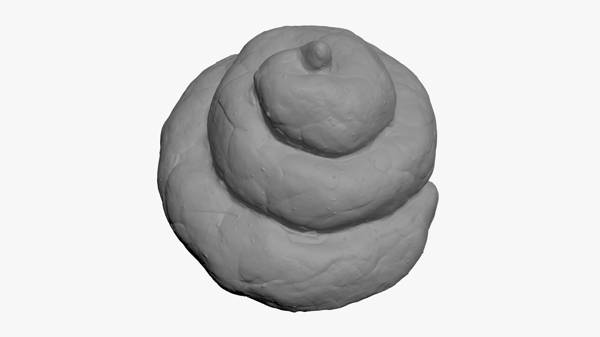Poop 5 for 3D Print model https://p.turbosquid.com/ts-thumb/49/DBRMKr/Ok/poop05_b0002/jpg/1738691026/1920x1080/fit_q87/1aa93e98f2182e2c0e1480810488c7abbe807f20/poop05_b0002.jpg