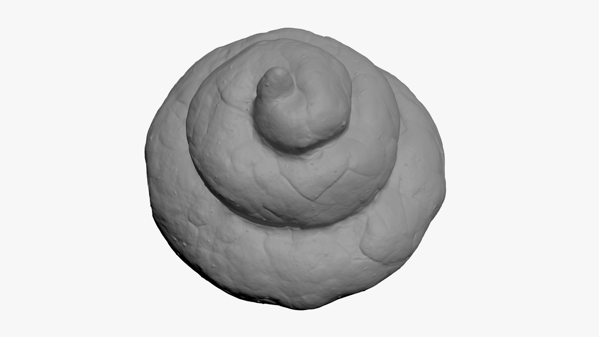 Poop 5 for 3D Print model https://p.turbosquid.com/ts-thumb/49/DBRMKr/qZ/poop05_b0006/jpg/1738691029/1920x1080/fit_q87/8b138876d017db9ec5f4eb6be36204b27551a0f2/poop05_b0006.jpg