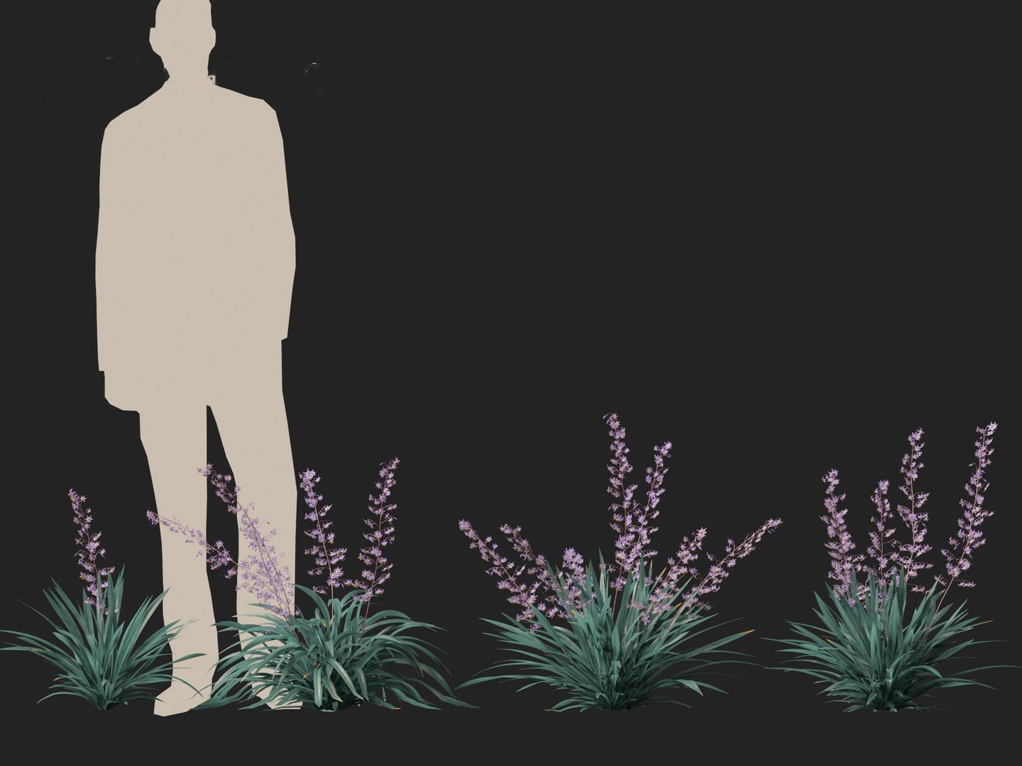 Dianella caerulea - Flax Lily 3D https://p.turbosquid.com/ts-thumb/49/fhP2B1/6c/dianellacaerulea016/jpg/1708746476/1920x1080/fit_q87/17e86792223ebf006f609b4d7999e771432033ec/dianellacaerulea016.jpg