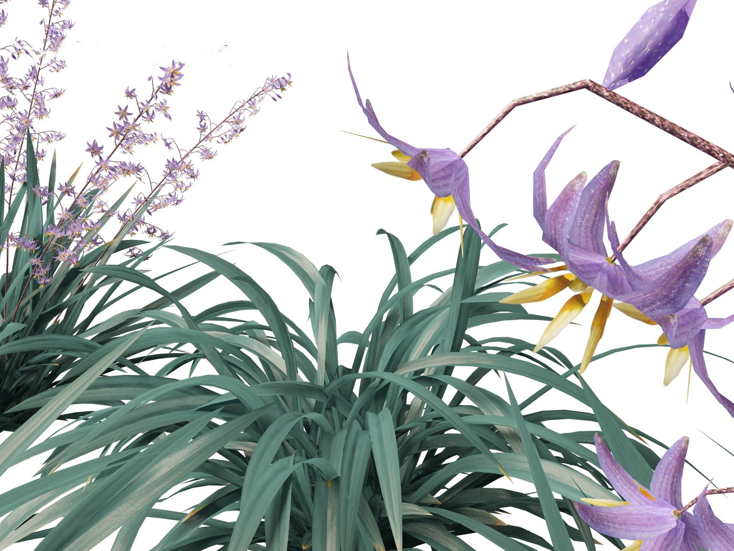 Dianella caerulea - Flax Lily 3D https://p.turbosquid.com/ts-thumb/49/fhP2B1/Bb/dianellacaerulea019/jpg/1708746479/1920x1080/fit_q87/2b1a071ae17fc1ec188eedf8bc714f212f55dd6e/dianellacaerulea019.jpg