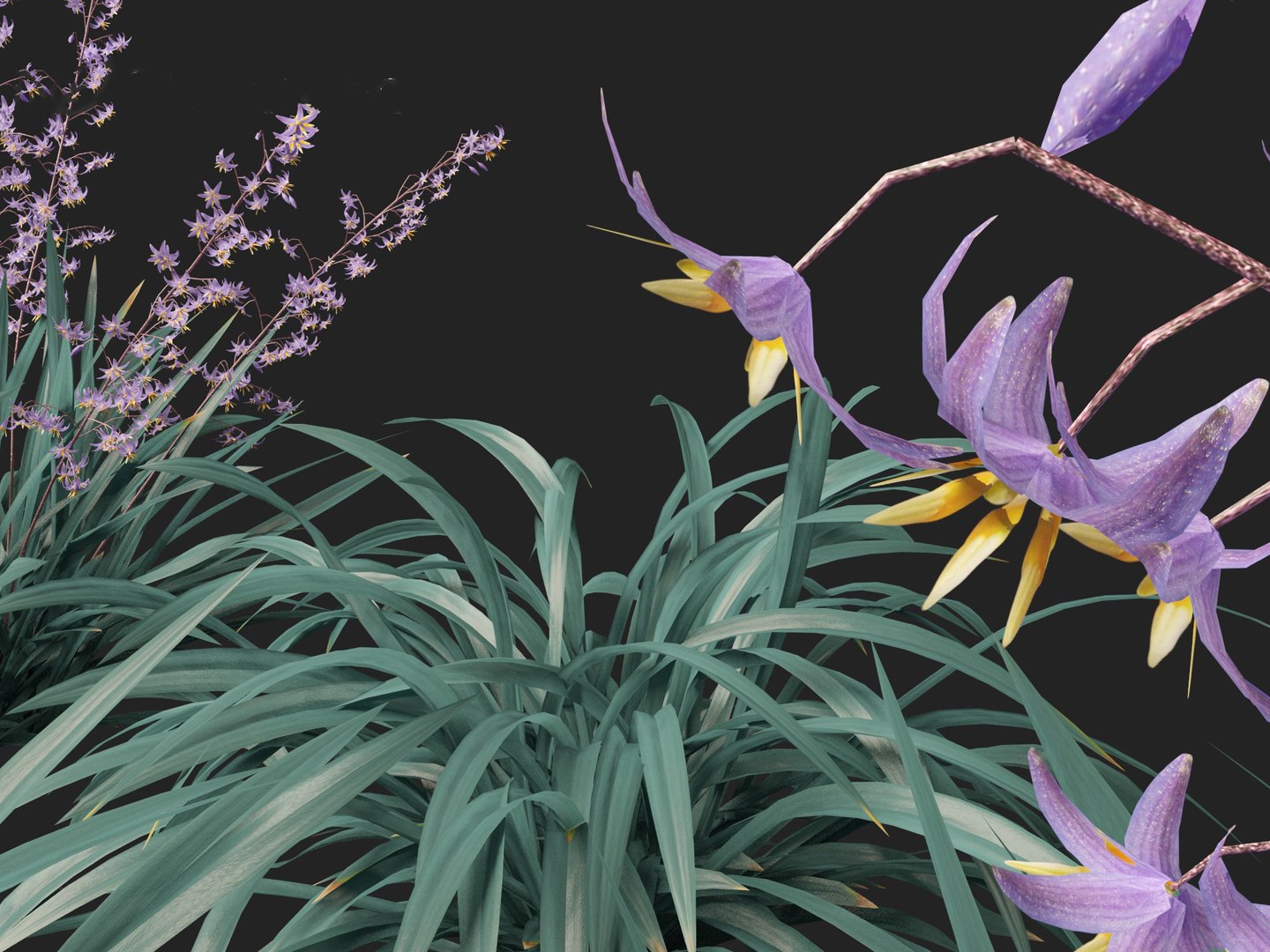 Dianella caerulea - Flax Lily 3D https://p.turbosquid.com/ts-thumb/49/fhP2B1/zN/dianellacaerulea0110/jpg/1708746481/1920x1080/fit_q87/4c153d8b4e3a6a8d1c19b0639ec8d561daca003d/dianellacaerulea0110.jpg