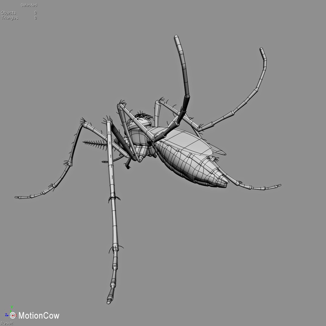 3d model mosquito rigged blood https://p.turbosquid.com/ts-thumb/49/krwHz7/WWOzCA5h/mosquito_wire_b/jpg/1329279085/1920x1080/fit_q87/5e3eaffa365405c2d48a09b77ab5836f15fdb84a/mosquito_wire_b.jpg