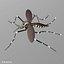 3d model mosquito rigged blood