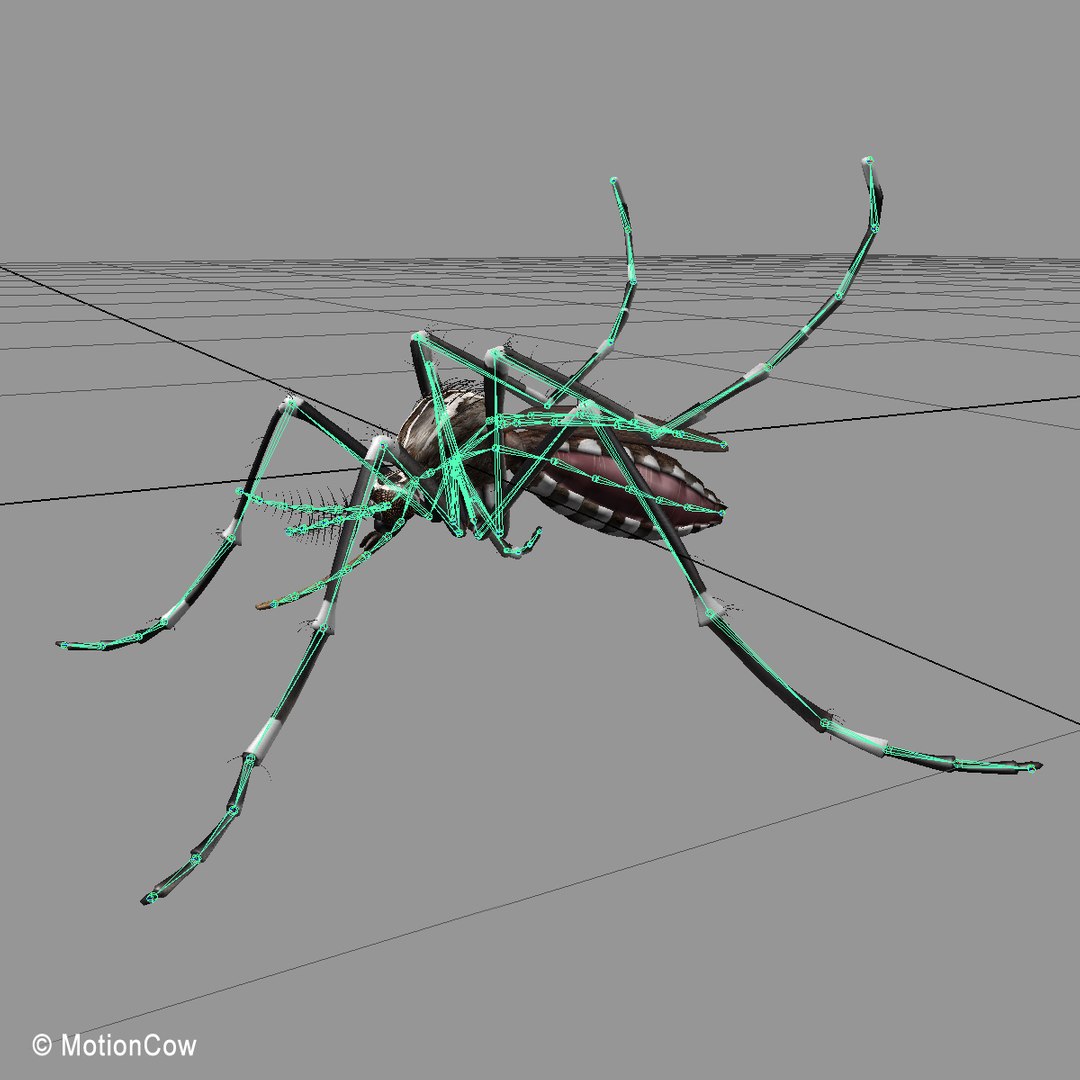 3d model mosquito rigged blood https://p.turbosquid.com/ts-thumb/49/krwHz7/uCCWxdVl/mosquito_rig/jpg/1329279085/1920x1080/fit_q87/6b67508a465eddf94de9d0bca988f6e9650d84df/mosquito_rig.jpg