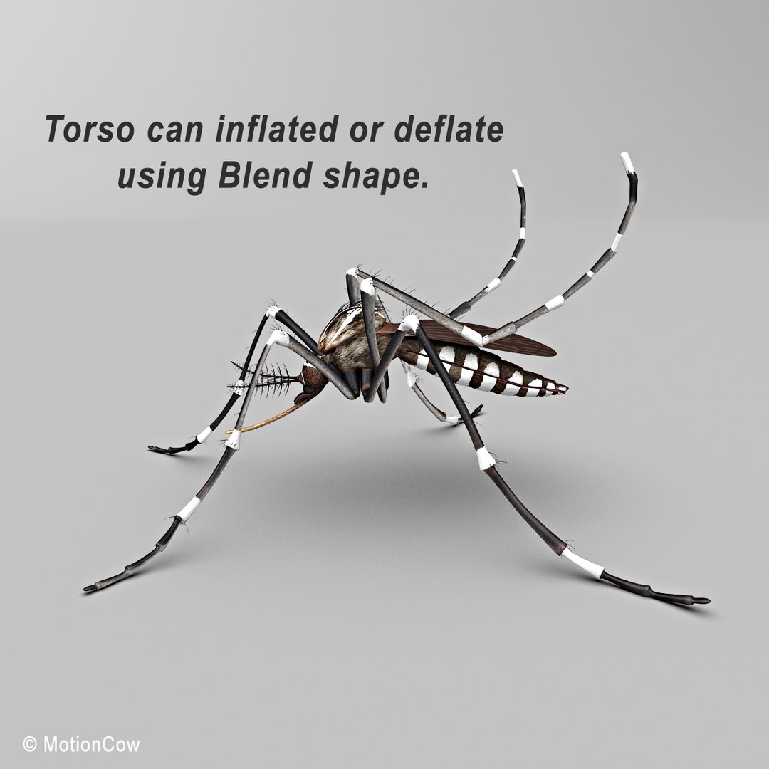 3d model mosquito rigged blood https://p.turbosquid.com/ts-thumb/49/krwHz7/wj0c5QcB/mosquito_c/jpg/1329279085/1920x1080/fit_q87/94e0a1792358acfc6aaad301c2559a0ee1f6c141/mosquito_c.jpg