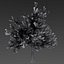 Maple Tree