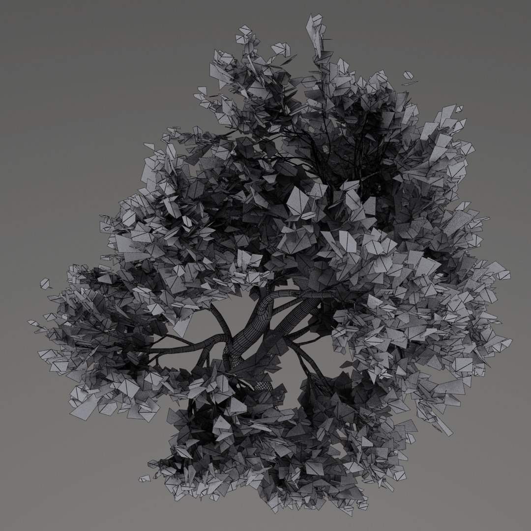 maple tree 3d model https://p.turbosquid.com/ts-thumb/49/wwVEPo/N8NTOGSc/mapletree10/jpg/1413937083/1920x1080/fit_q87/31b146681c1262cc3f512c2f07a0ad788b0d52d1/mapletree10.jpg